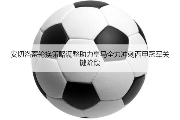 img_1778951901565_4963_1_452.jpg